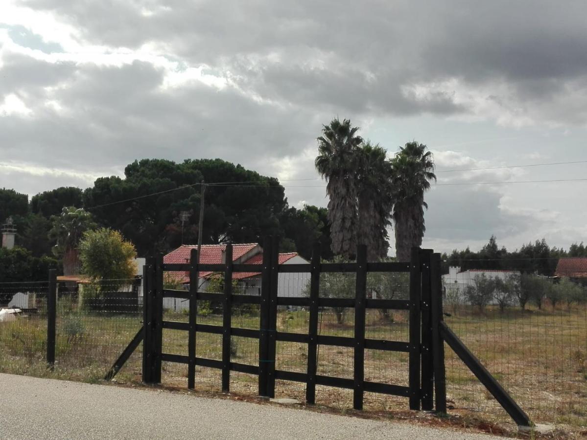 بيت شباب Fazenda Do Marante تومار المظهر الخارجي الصورة