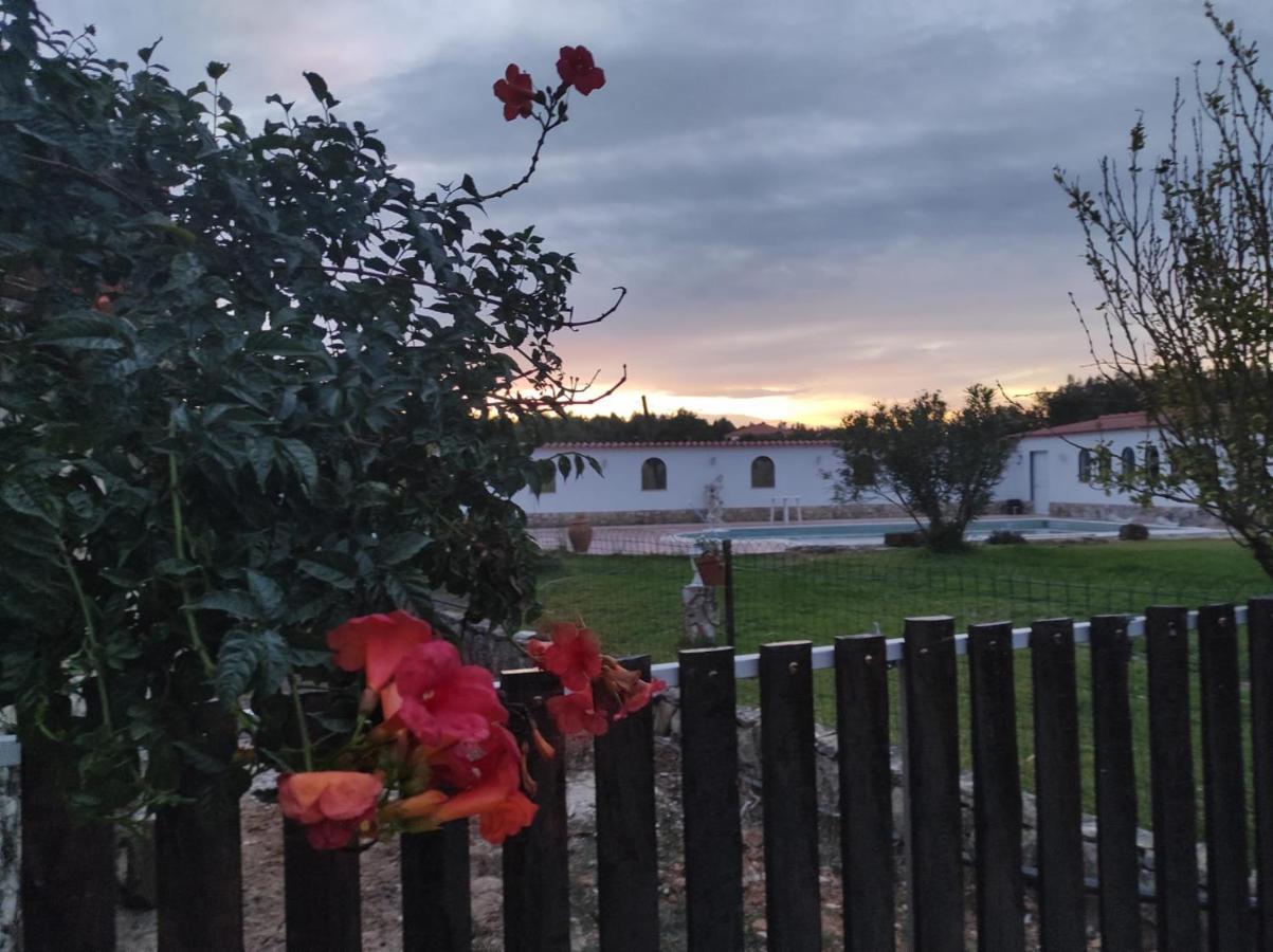 بيت شباب Fazenda Do Marante تومار المظهر الخارجي الصورة
