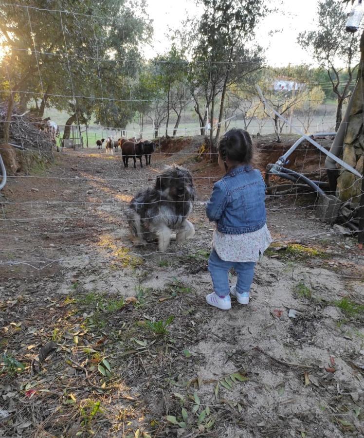 بيت شباب Fazenda Do Marante تومار المظهر الخارجي الصورة