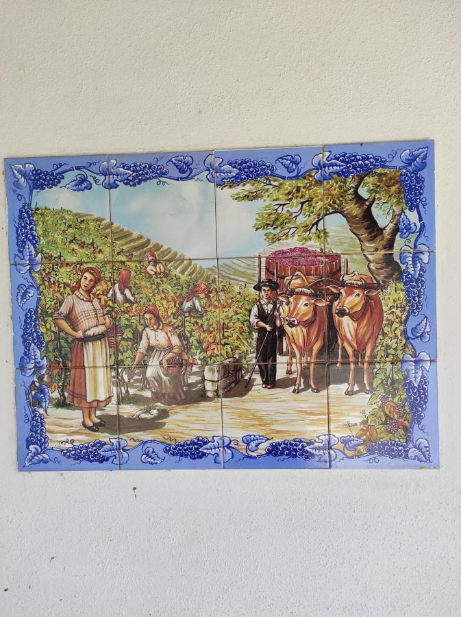 بيت شباب Fazenda Do Marante تومار المظهر الخارجي الصورة