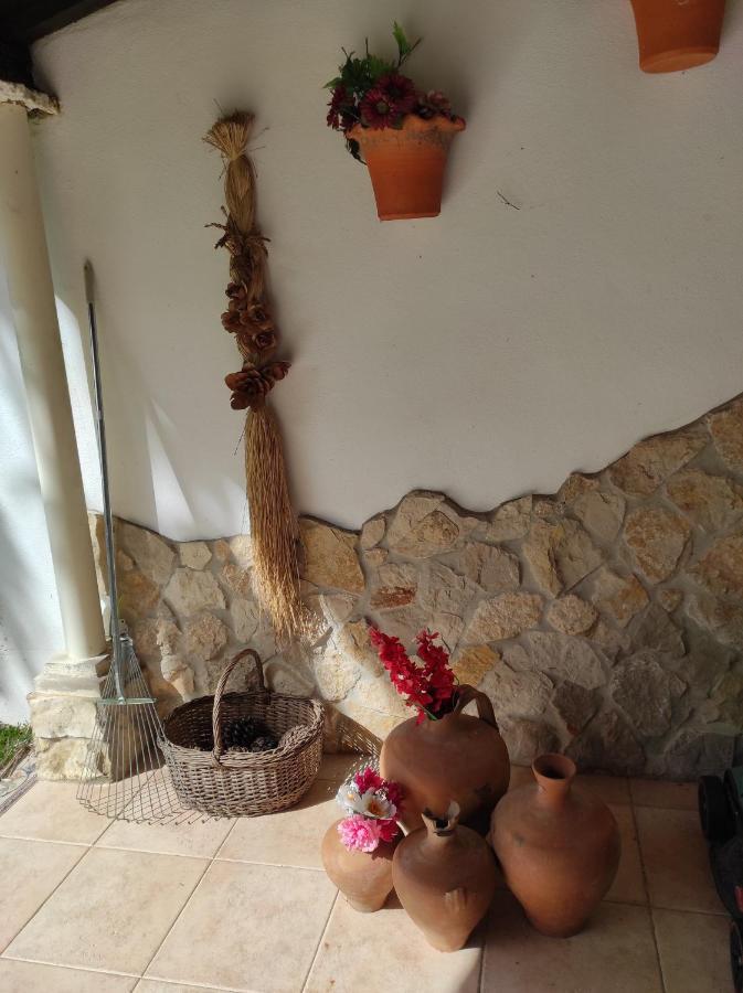 بيت شباب Fazenda Do Marante تومار المظهر الخارجي الصورة