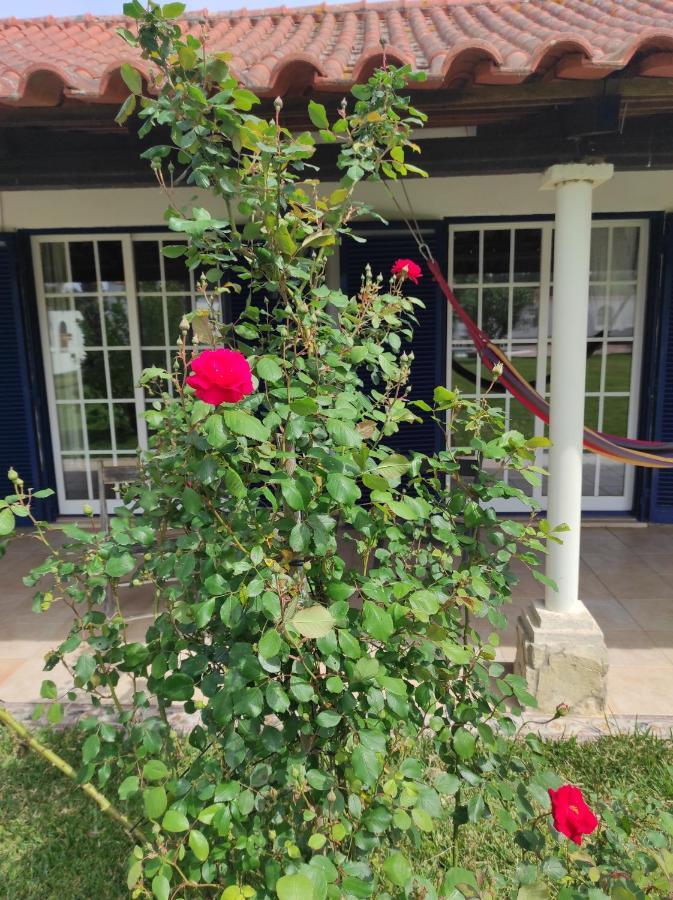 بيت شباب Fazenda Do Marante تومار المظهر الخارجي الصورة